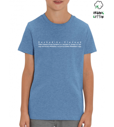 Camiseta algodón orgánico niños EUSKADIKO OLATUAK _STTK909_1885